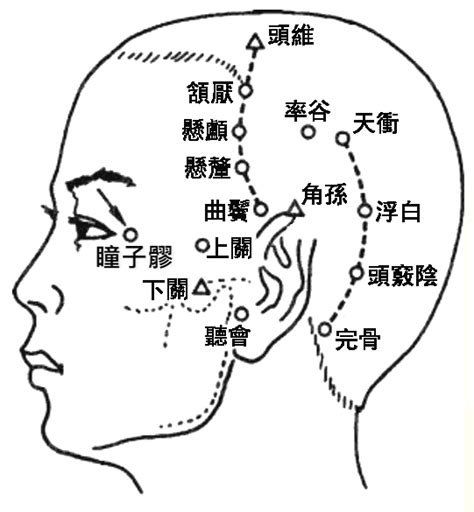 天竅穴位置|醫砭 » 經穴庫 » 天髎